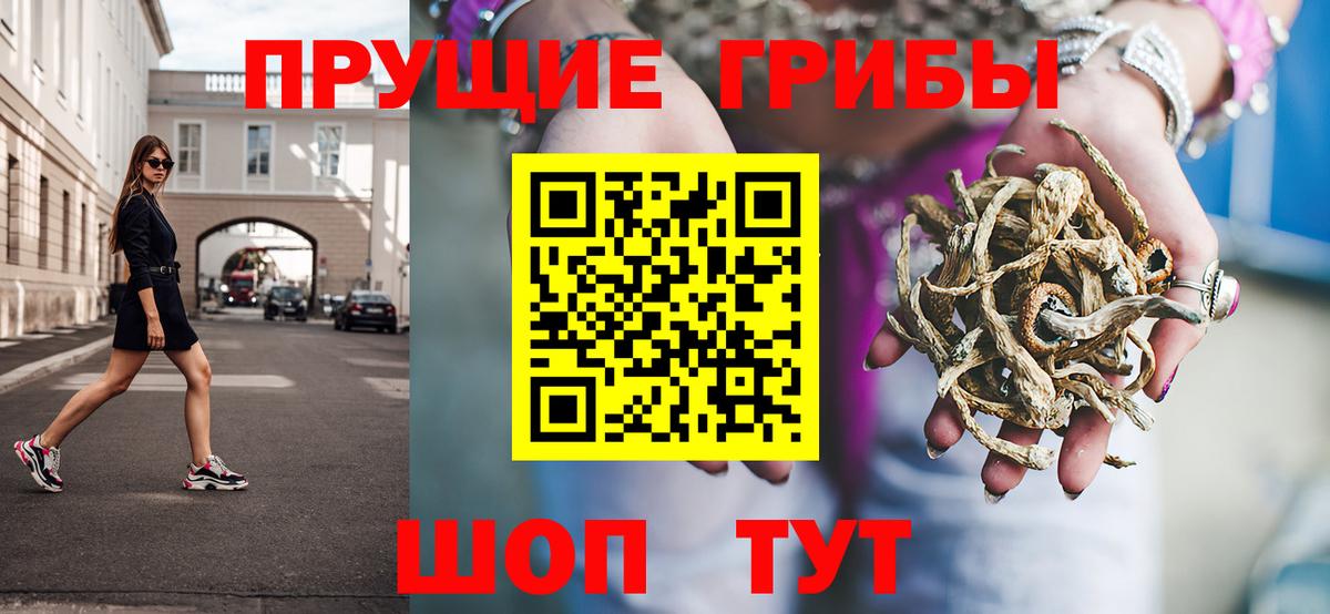 Галлюциногенные грибы Psilocybe Нурлат